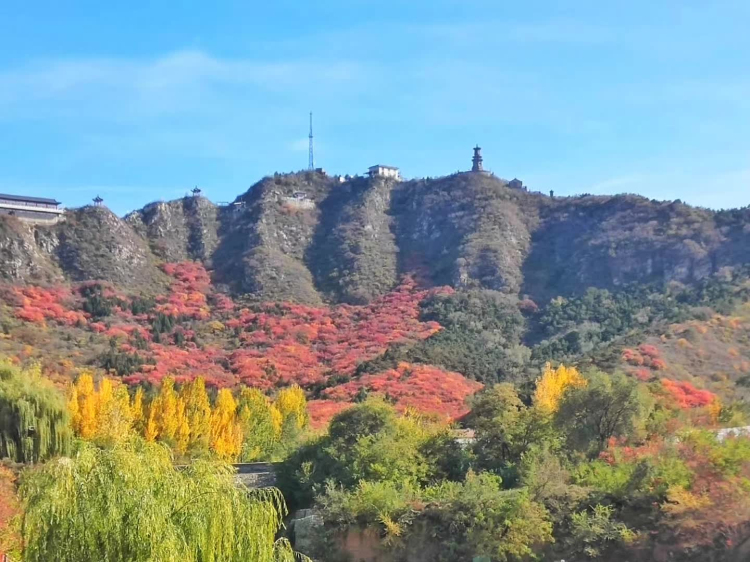 冶仙塔后山！漂亮！.jpg